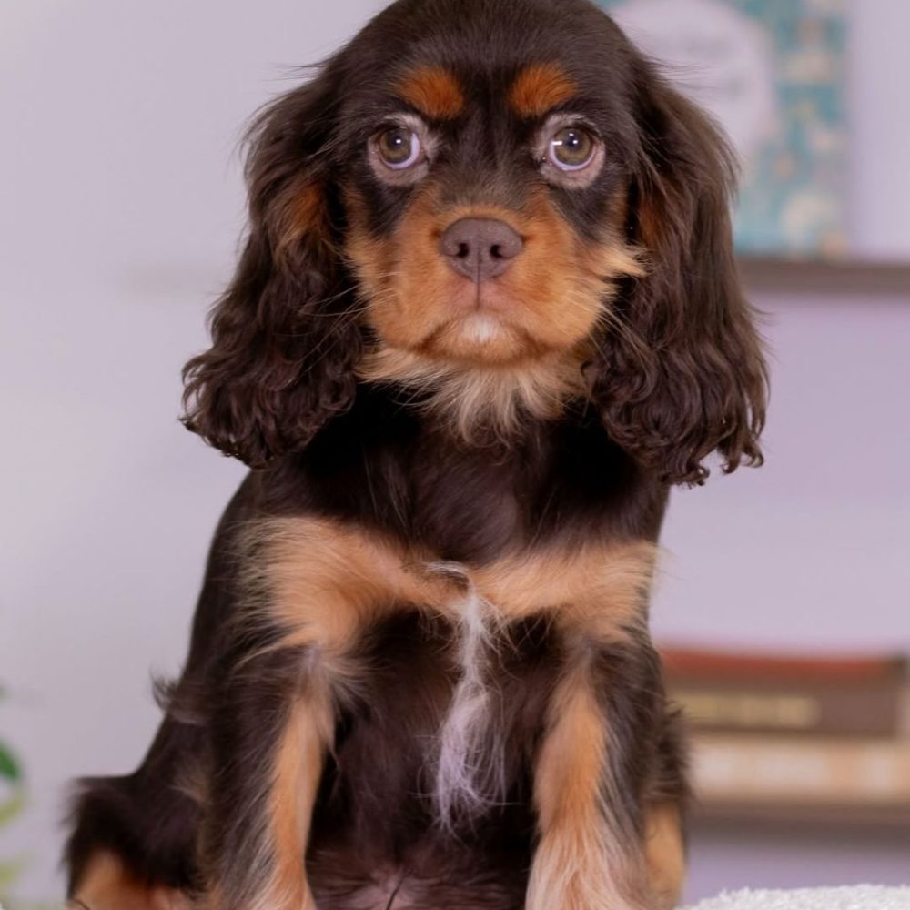 photo_2025-12-04_01-21-10