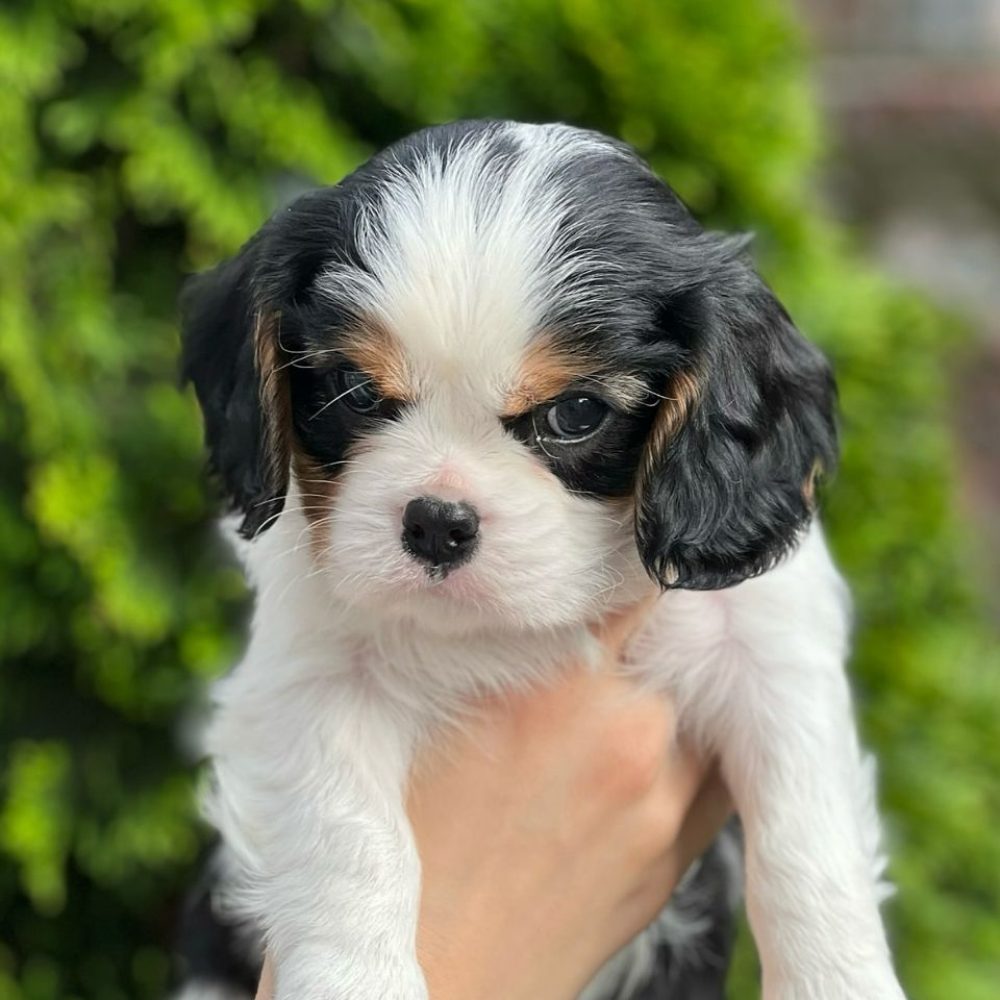 photo_2025-12-04_01-23-24