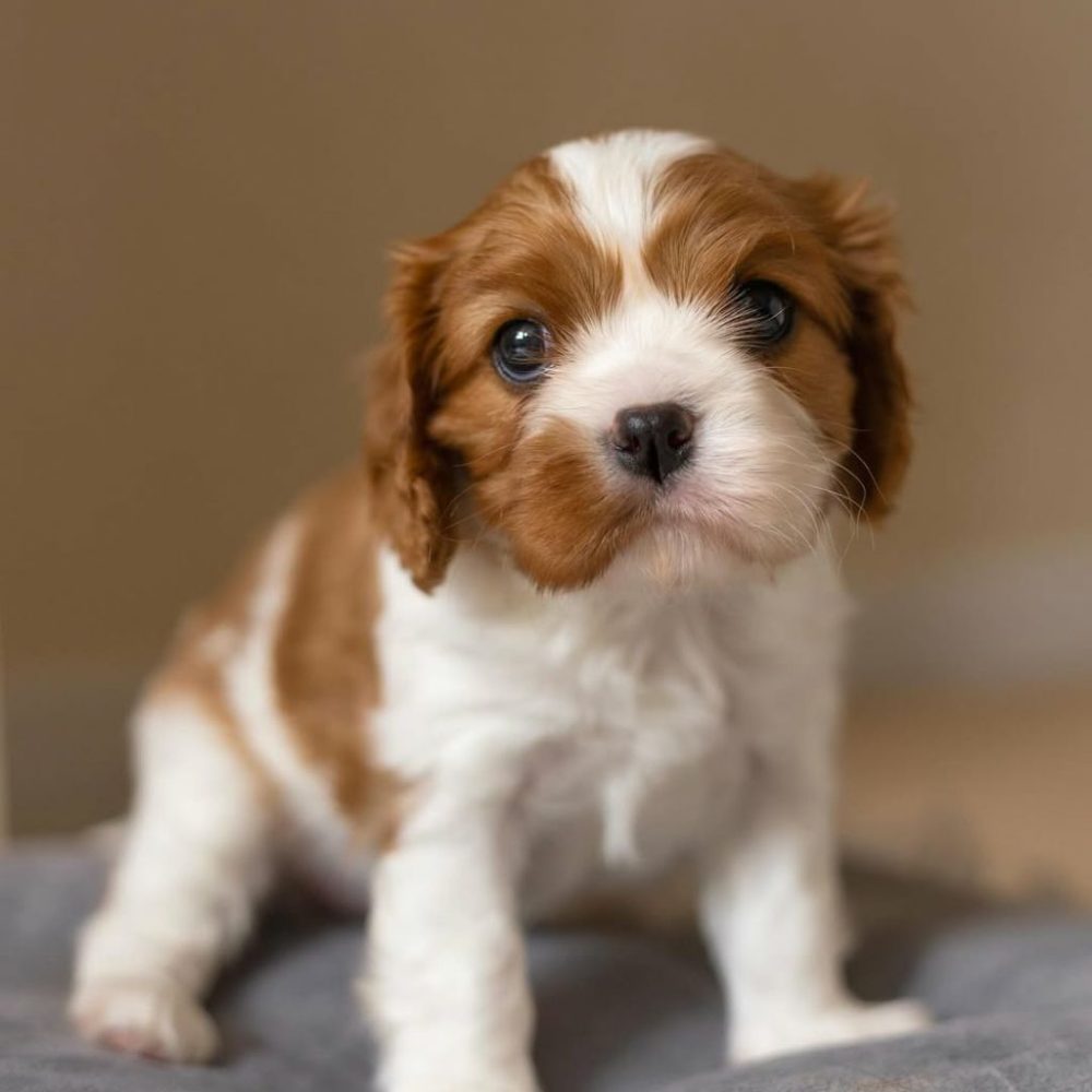 photo_2025-12-04_01-24-37