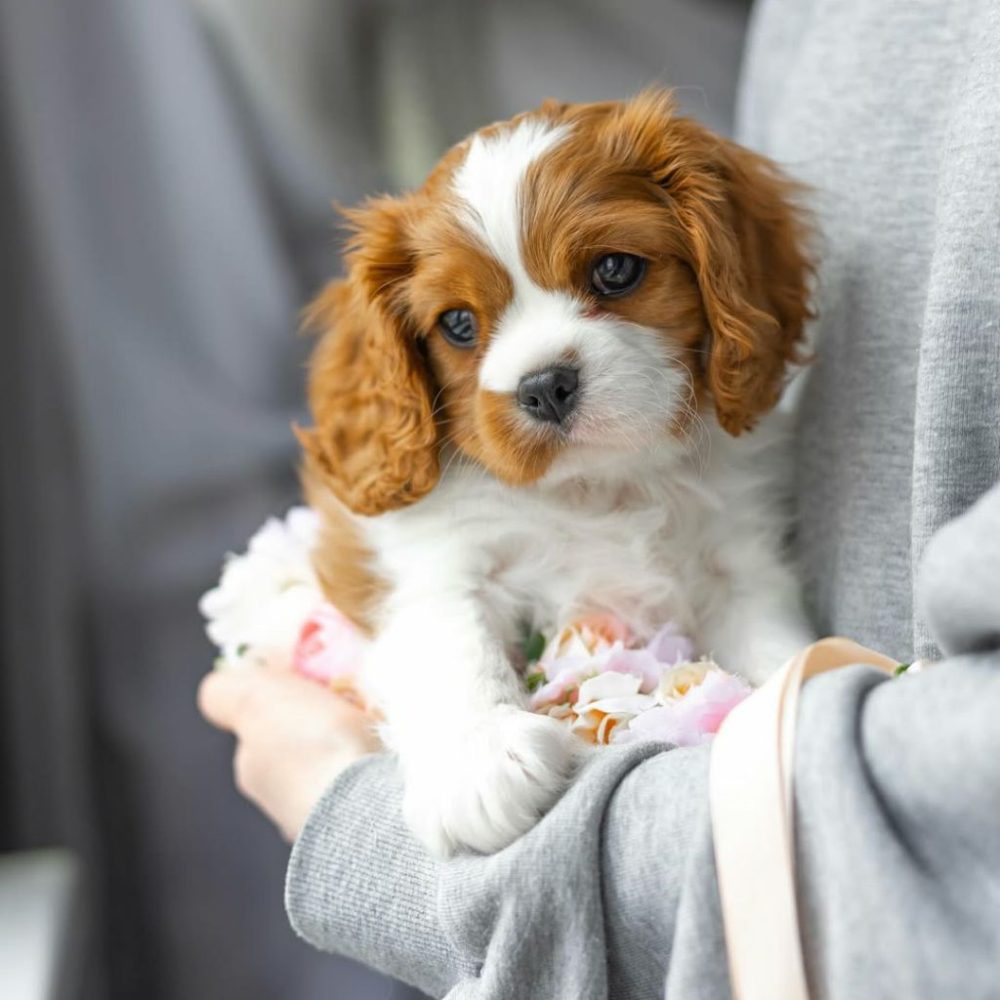 photo_2025-12-04_01-24-58