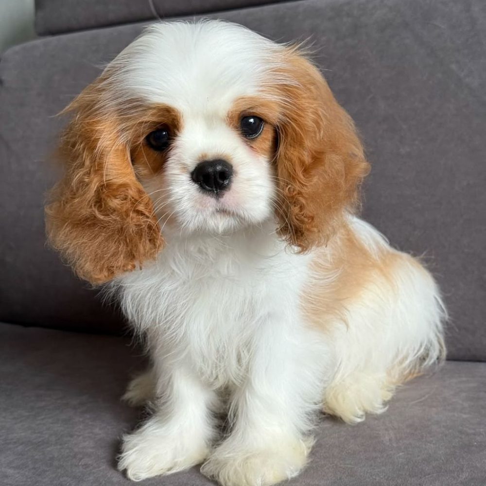 photo_2025-12-04_04-50-23