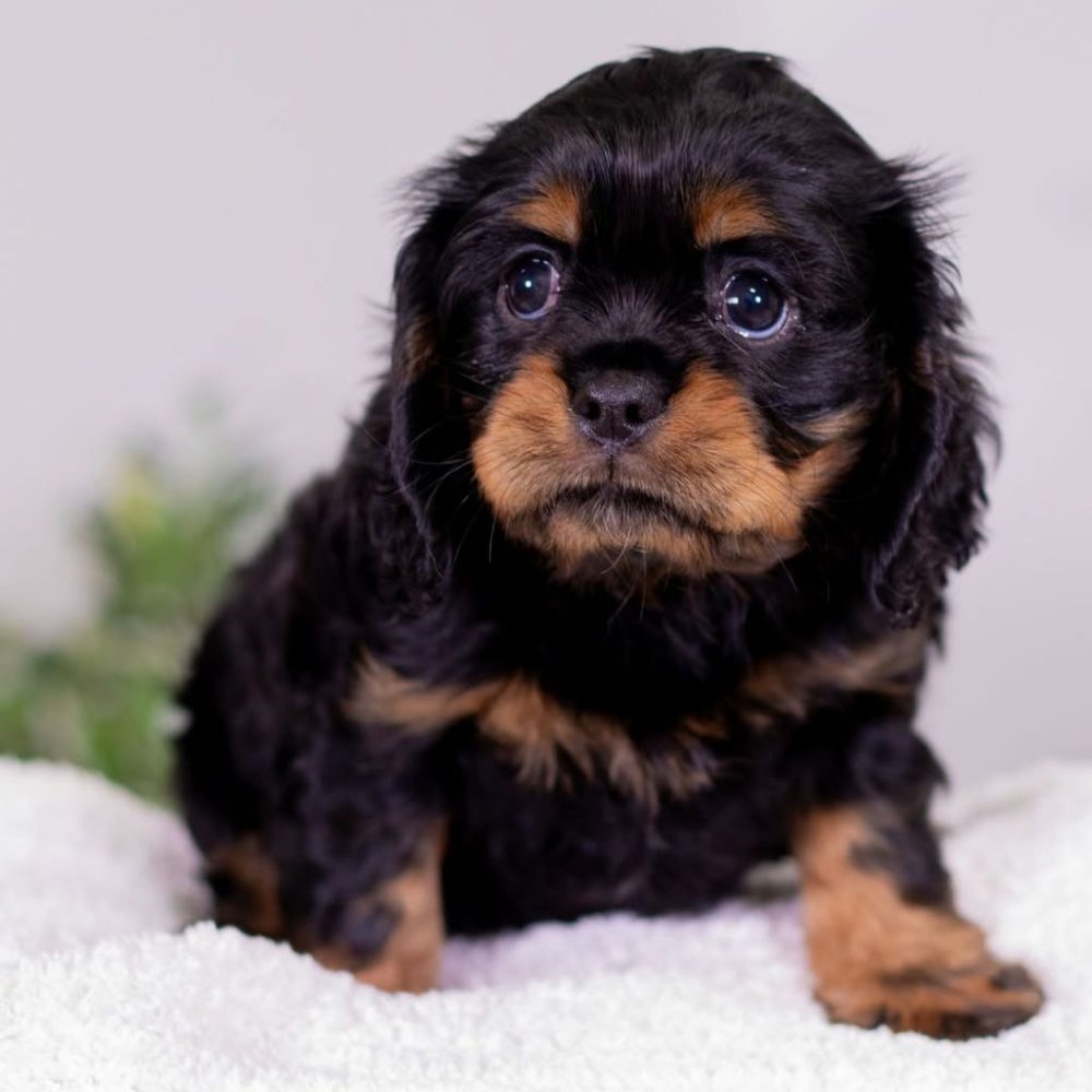 photo_2025-12-04_04-52-07