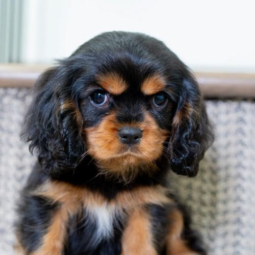 photo_2025-12-04_05-03-34